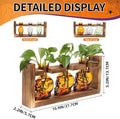 Terrarium Propagation Station, 3-Piece Amber Skull Glass Set with Wood Stand