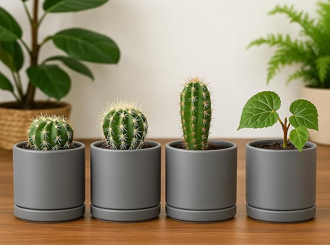 Planters: Small Round Gray Ceramic Pots with Saucers, Set of 4