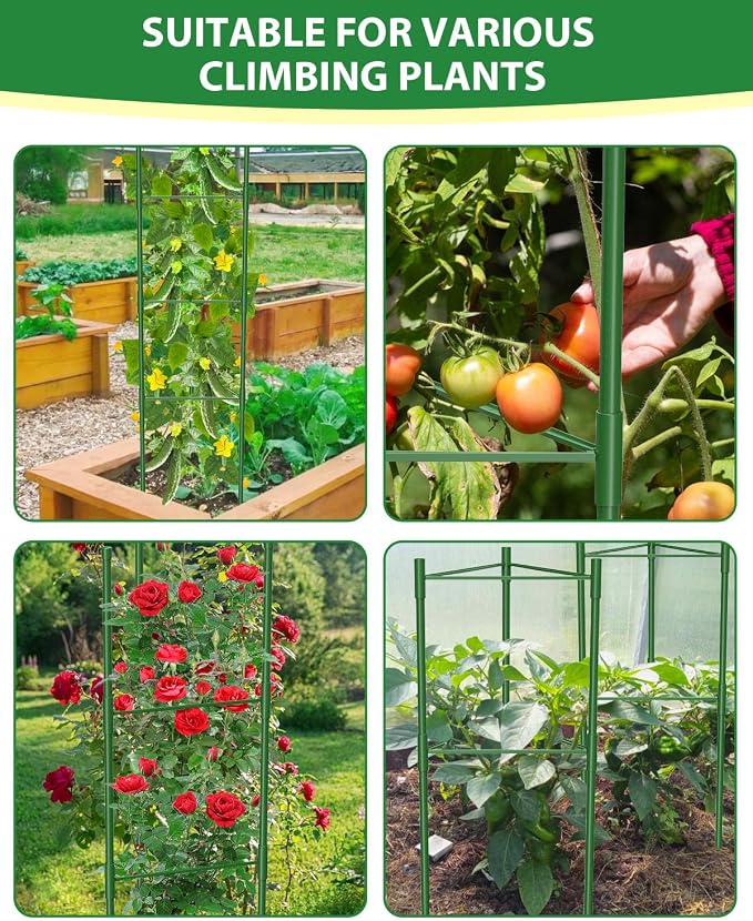 3 Pack Tomato Cages for Garden, 51in*13in Adjustable Tomatoes Plant Stakes - Image 3