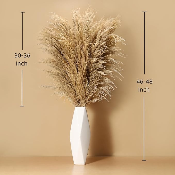 Dried Pampas Grass Stems, 9 Pack, Fluffy Brown Boho Decor, 46-48 Inch