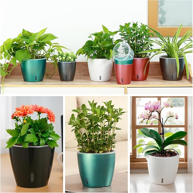 Self Watering Pots for Indoor Plants, Small African Violet Pots - Image 2