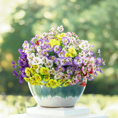 12 Bundles Artificial Pansy Flowers by Griine