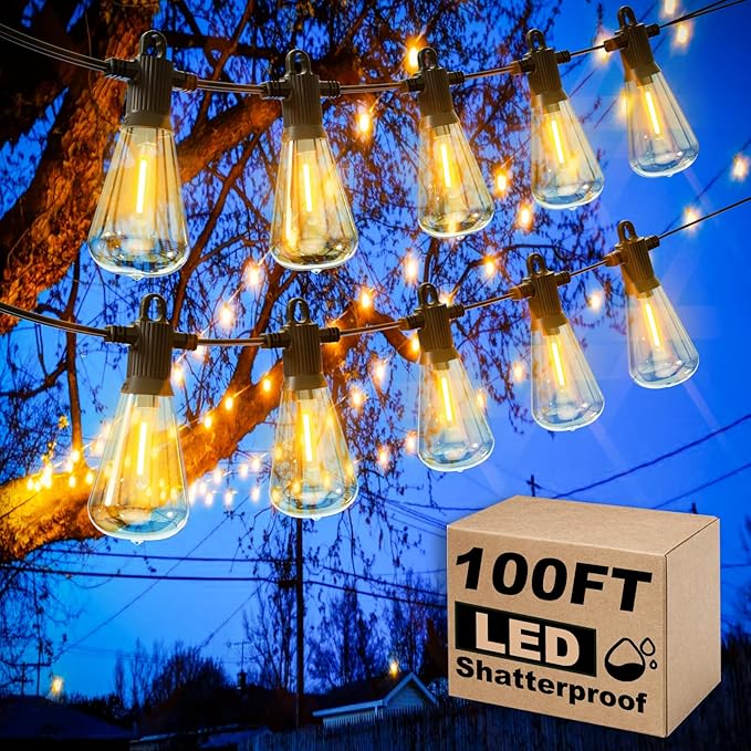 String Lights, 100 ft Warm White LED with 53 Vintage Edison Bulbs