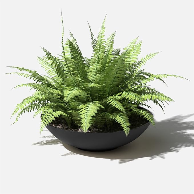 Veradek Mason Series Lane Bowl Planter| - Image 7