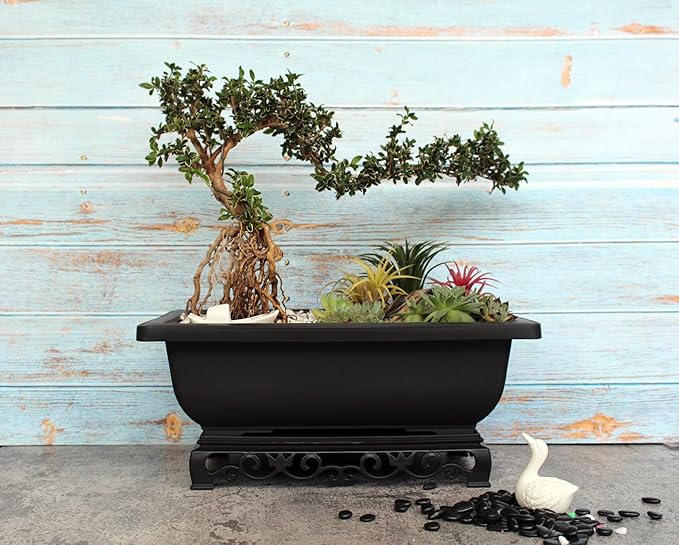 Planters for Bonsai, Brown Recycled Plastic, 2-Pack with Trays