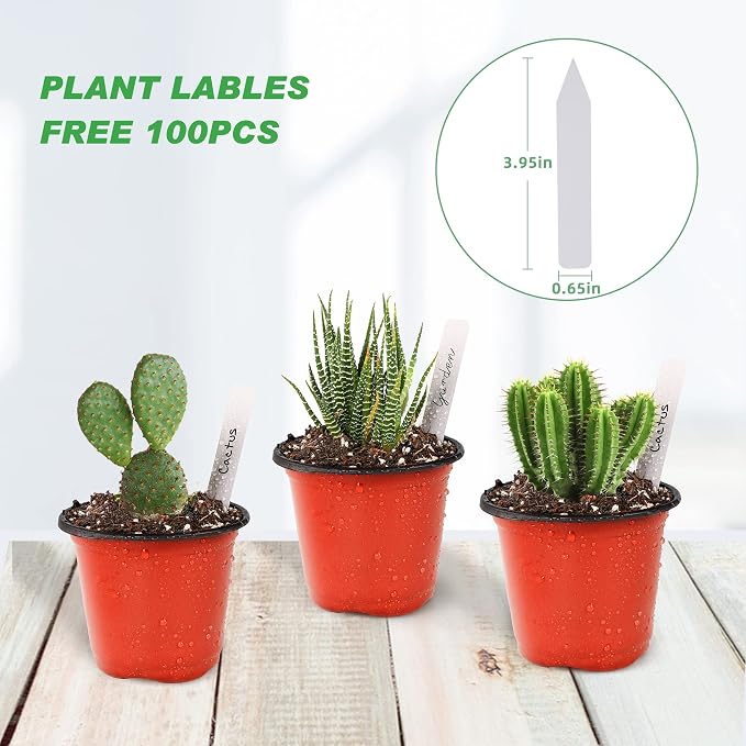 TDHDIKE 4" Small Plastic Plant Nursery Pot/Pots Seedlings Flower Plant - Image 5