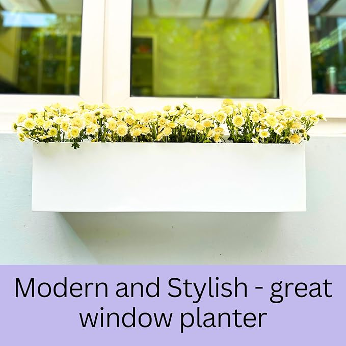LaLaGreen Wall Planter Carbon Steel White Metal Hanging Flower Pot - Image 3