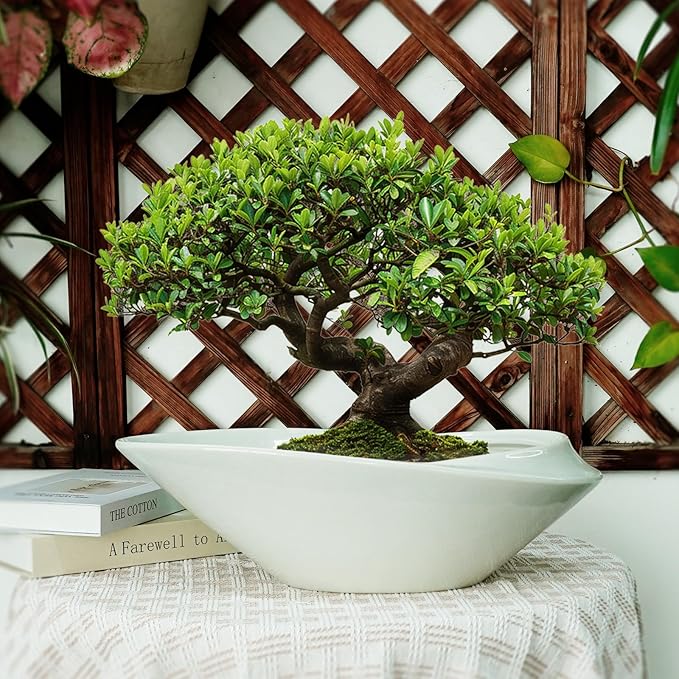 Planter Pot, 18 Inch Gray Ceramic Bonsai Pot with Drainage Hole