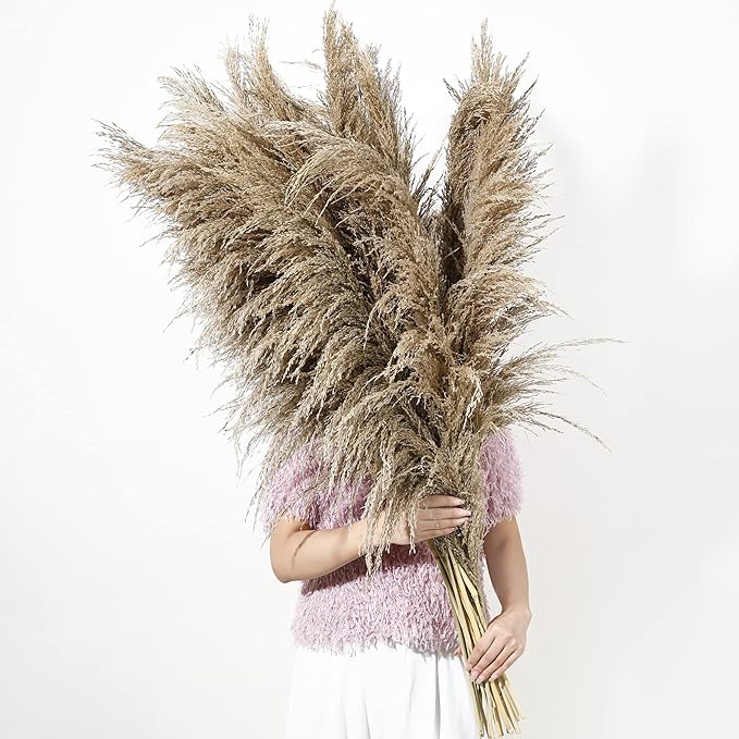 Dried Pampas Grass Stems, 9 Pack, Fluffy Brown Boho Decor, 46-48 Inch