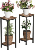 Homeiju Plant Stand Indoor, 2 Tier Wood Corner Plant Stand, Modern Square Plant by Homeiju