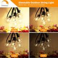 String Lights, 100 Ft Black G40 Globe with 50 LED Bulbs