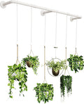 Plant Haning Rod, Hanging Planters by SOFITORG