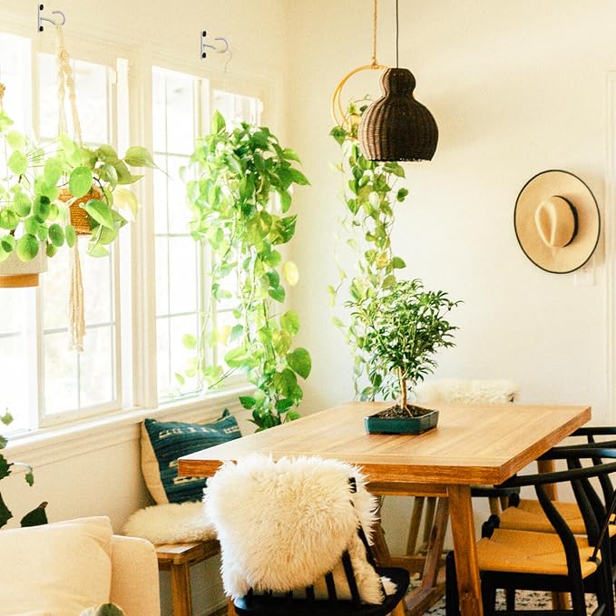 6Pack 2.5Inch Ceiling Hooks for Hanging Plant, Hanger for Indoor and Outdoor - Image 6