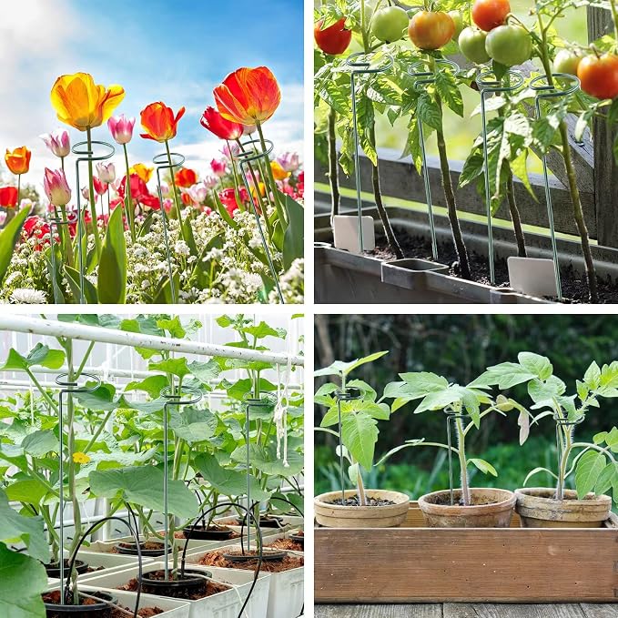 36 Inch 12 Packs Plant Support Stakes, Garden Single stemmed Plant Support Hoops - Image 5