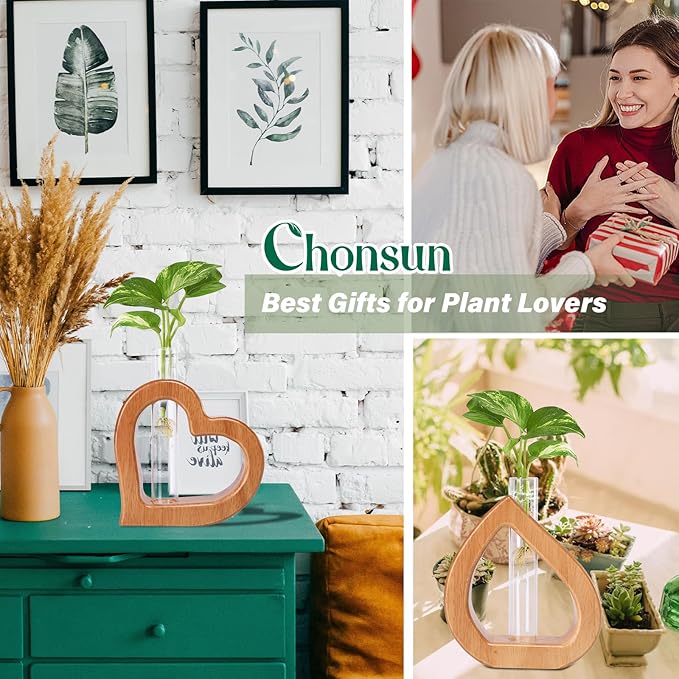 Terrarium Wall Planter, 2-Piece Heart-Shaped Pine Stand with Glass Tube