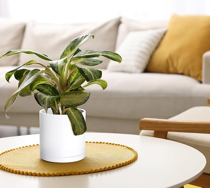 Planter Pots 4-Pack Matte White Modern Plastic with Saucers, 6-Inch