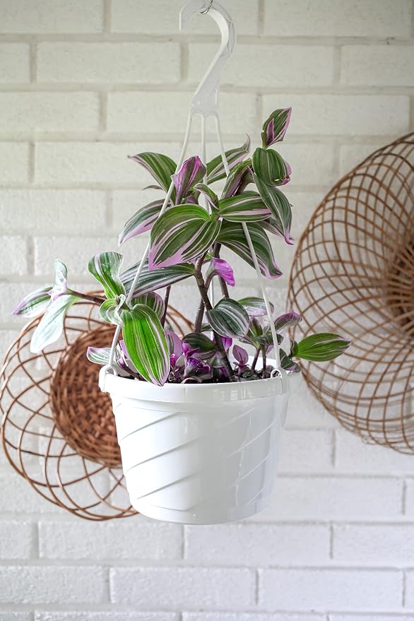 The HC Companies 12 Inch Euro Hanging Planters, Lightweight UV-Resistant - Image 5