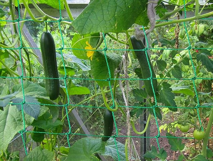 Trellis Netting for Climbing Plants - Image 2