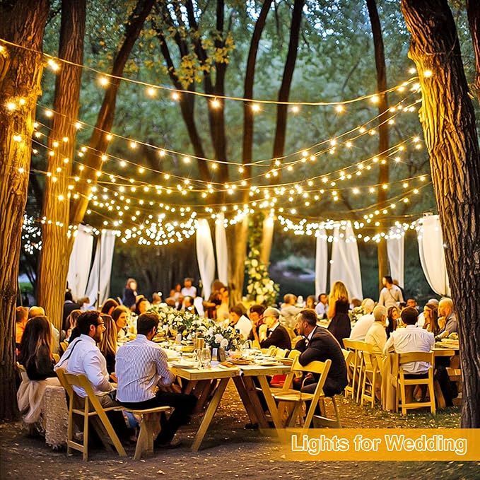 String Lights 1000 Warm White LED Outdoor Lights with Remote and Timer