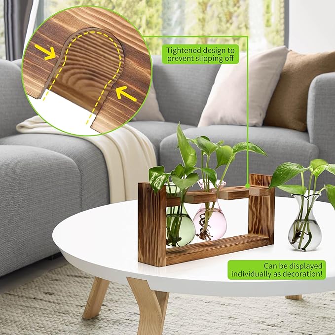 Terrarium Propagation Station with 3 Bulb Glass Bottles and Wooden Stand