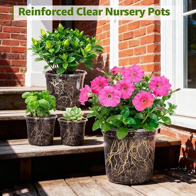MIXC Clear Nursery Pots with Drainage Holes, 7/5/4 Inch Reinforced Transparent - Image 6