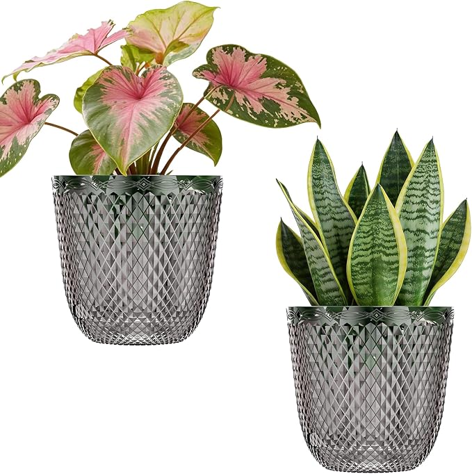 QCQHDU 2 Pack Self Watering Pots, 5.7 Inch Flower Pots by QCQHDU