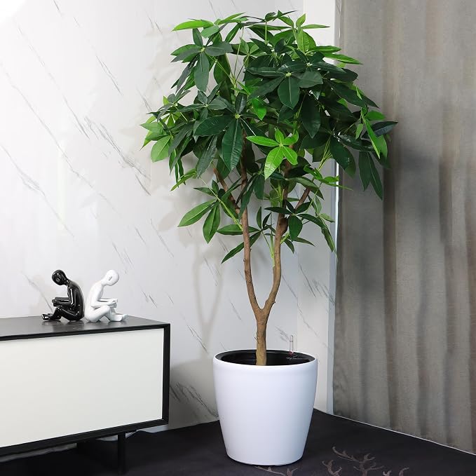 Dexceder 15x14 Self Watering Planter - Image 6