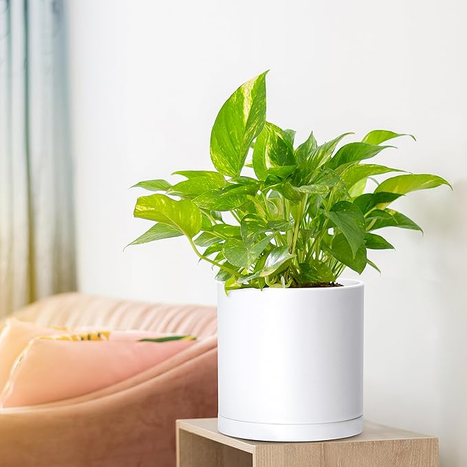 Planter Pots Set of 4, 6.5 Inch White Plastic with Drainage Holes and Saucers
