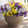 18 Pcs Artificial Fake Pansy Flowers by RowfadFlora