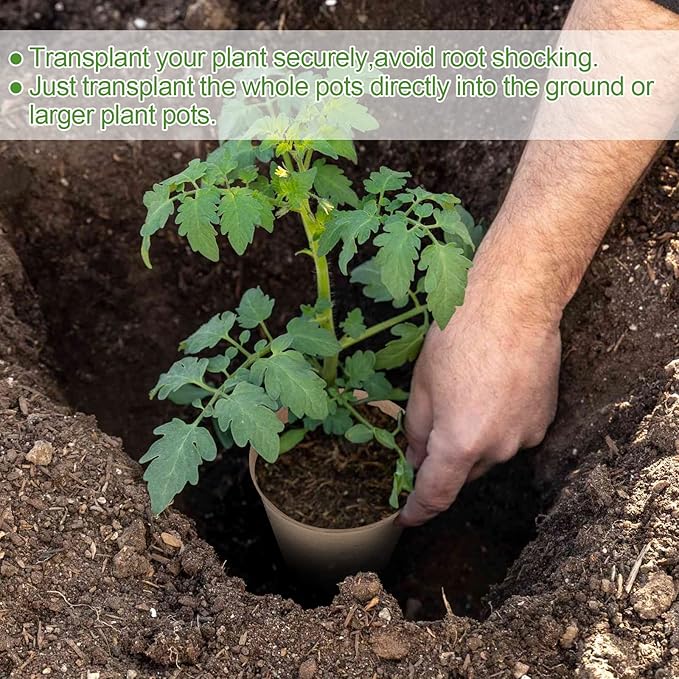 50PCS Peat Pots, 3.15Inch Seed Starting Pots - Image 5