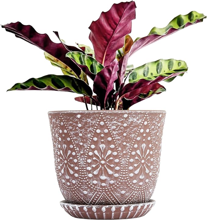 Gepege 10 Inch Plant Pot, Ceramic Planter by Gepege