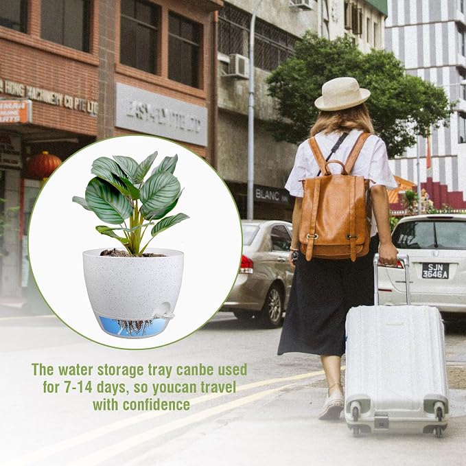 10 inch Self Watering Pots, Plant Pots - Image 6