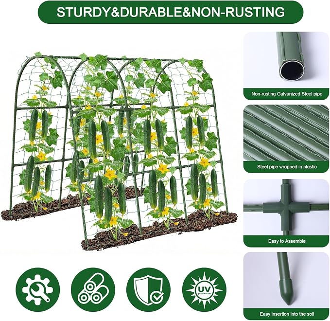 Cucumber Trellis for Raised Bed - Image 6