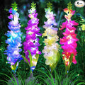 Solar Garden Lights, Solar Delphinium Flowers Lights 4 Pack 80 LEDs, Waterproof by MRHEPHAESTUS