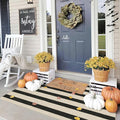 Outdoor Rugs, Black and White Striped Polyester Entry Mat, 3 x 5 ft
