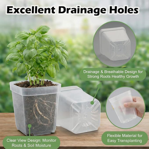 120 Packs Square Clear Nursery Pots - Image 2