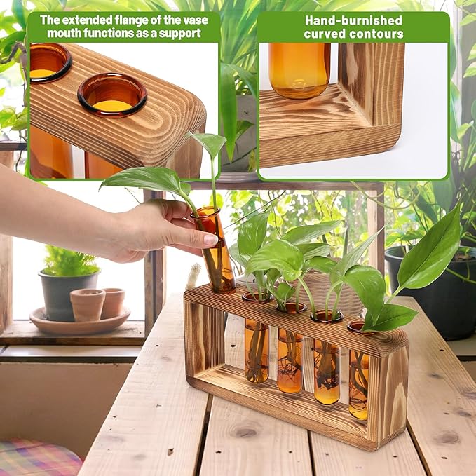 Terrarium Propagation Station, Amber Glass with 5 Test Tubes
