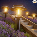 ALEPOD Solar Pathway Lights Outdoor by ALEPOD
