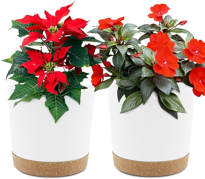 QCQHDU 6.5 inch Plant Pot, 2 Pack Planters by QCQHDU