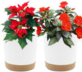 QCQHDU 6.5 inch Plant Pot, 2 Pack Planters by QCQHDU
