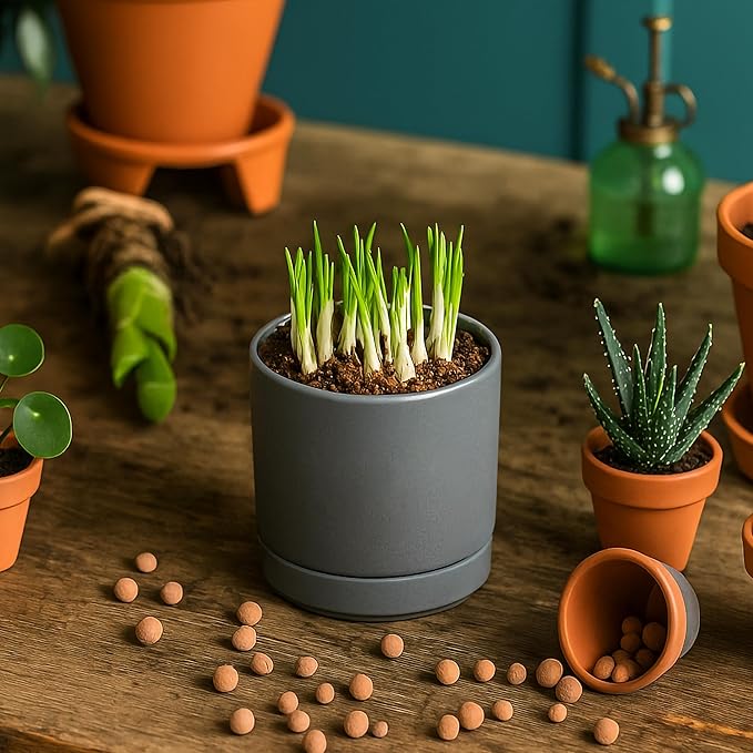Planters: Small Round Gray Ceramic Pots with Saucers, Set of 4