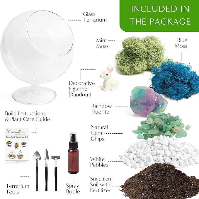 Terrarium Kit, Oval Glass Terrarium with Reindeer Moss, 6-Inch