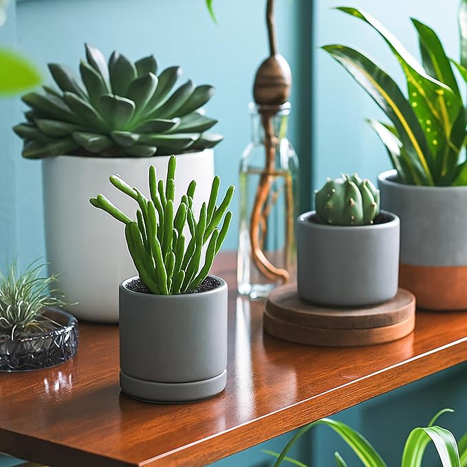 Planters: Small Round Gray Ceramic Pots with Saucers, Set of 4