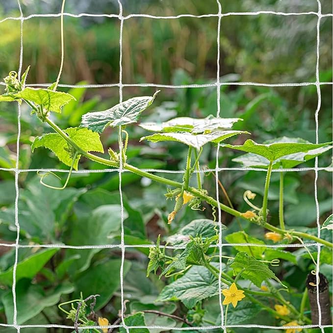 Tcamp Trellis Netting for Plants - Image 5