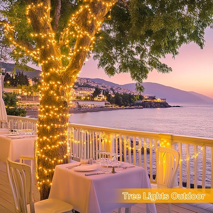 String Lights 1000 Warm White LED Outdoor Lights with Remote and Timer