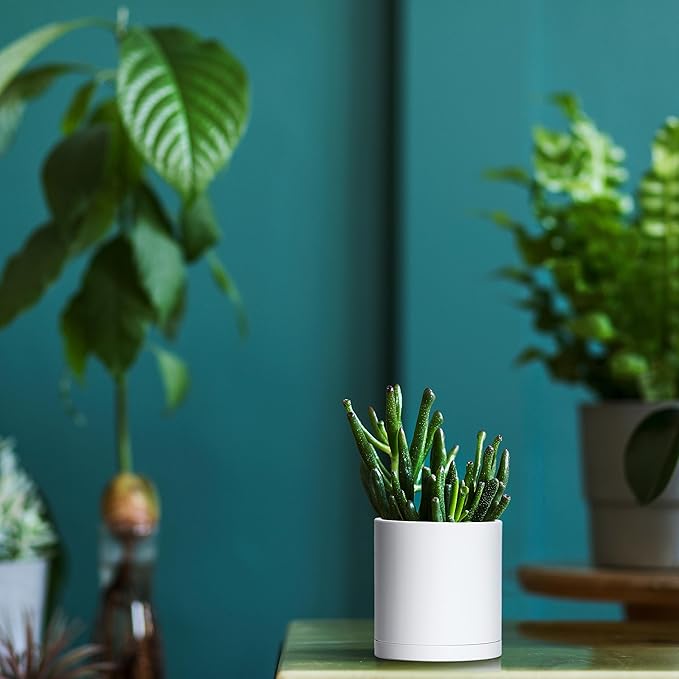 Planters: 12 Pack of 3.5 Inch Matte White Plastic Pots with Saucers