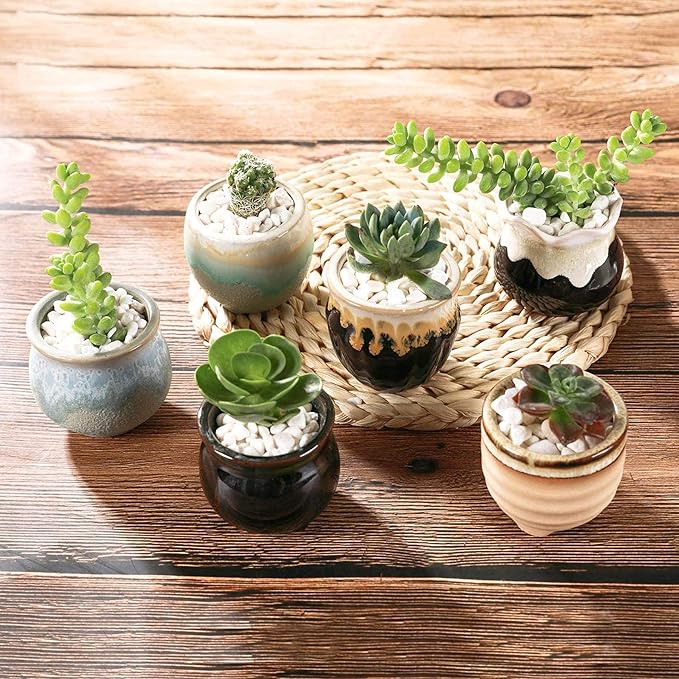 Ceramic Plant Pots, Set of 12 Glazed Mini Planters with Drainage Holes
