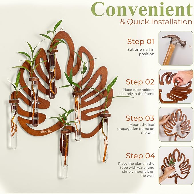 Vertical Wall Planter Propagation Station, Dark Nutmeg Wood and Glass