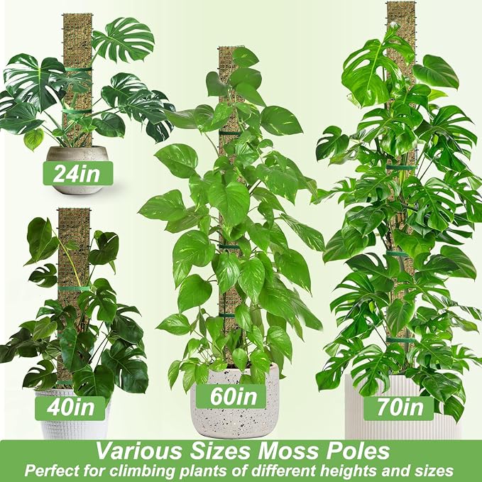 60"/40"/24" Metal Moss Pole, D Shape Sphagnum Moss Pole, Moss Poles - Image 7