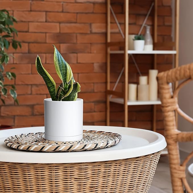 Planters: 2 Modern White Matte Plastic Pots with Saucers, 6 Inch